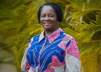 Prof. Jane Naana Opoku-Agyemang Urges Forensic Audit of Voters Register Ahead of Elections