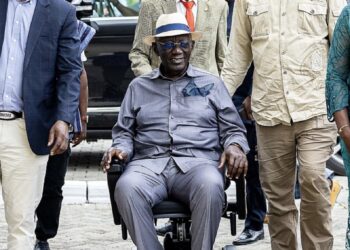 10 Years Ago, I Didn’t Know I’d End Up in a Wheelchair – Kufour Urges Inclusivity