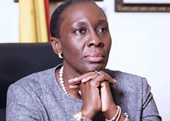 We’re satisfied with Supreme Court’s ruling on re-collated results – NDC