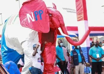NPP forms 12-member committee to review 2024 election defeat
