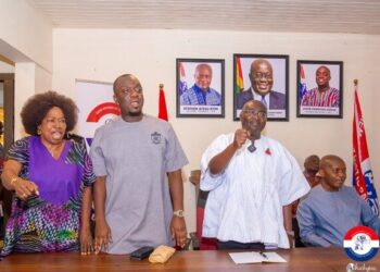 NPP Council in Breach: The constitution they vowed to uphold, they now undermine