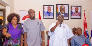 NPP Council in Breach: The constitution they vowed to uphold, they now undermine