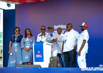 NPP expands electoral college for presidential primary